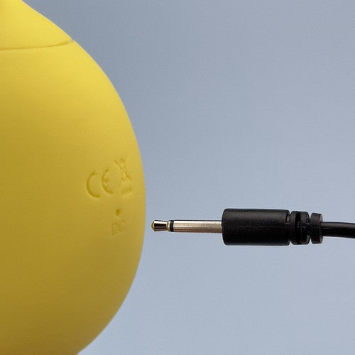 Lemon Toy