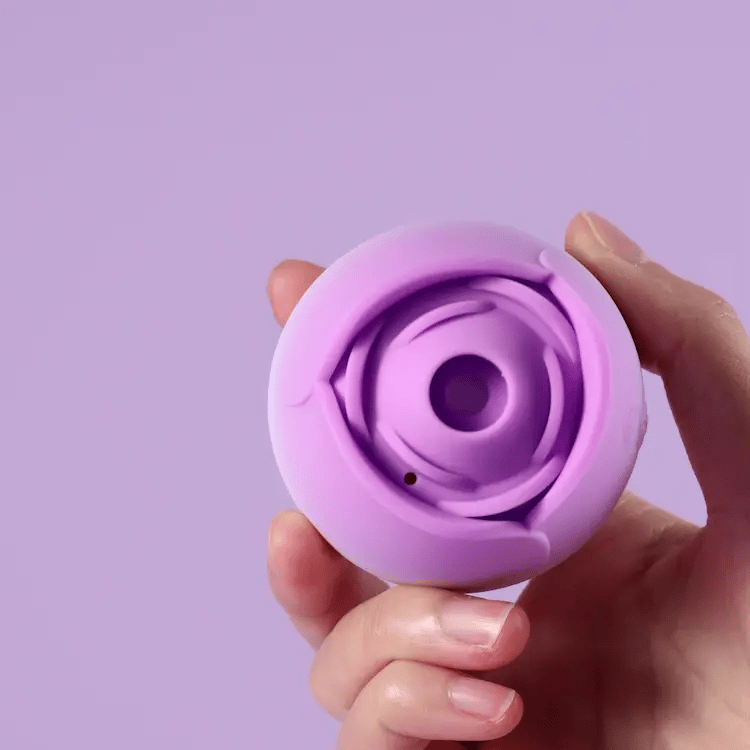 Rose Purple